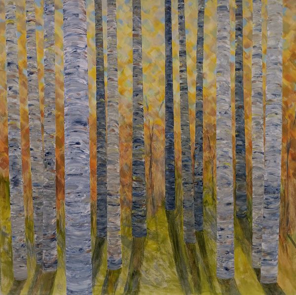 Birch Forest