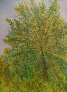 Komorebi Paintings 5 - Shining Through