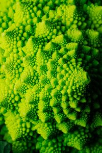 Romanesco #1