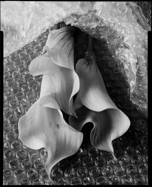 Transience in a Package