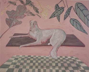 Dog on floating table