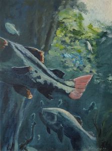 Underwater scene