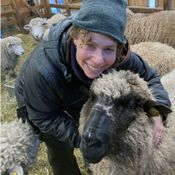 ...