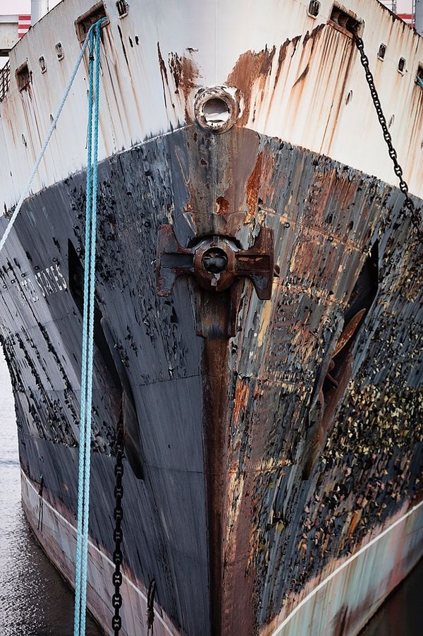 Artrepreneur - Blue Ribband (For Sale)