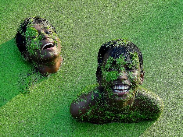 Joy of Nature