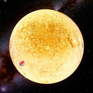 Insignificance