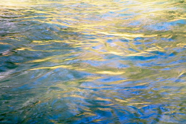 Golden Light on Water