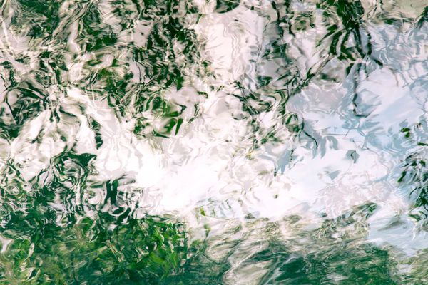 Dappled Reflections 