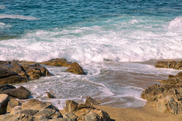 Frothy Shoreline