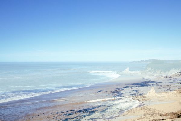 Echoes on the Shore