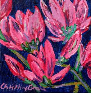 Purple Magnolia