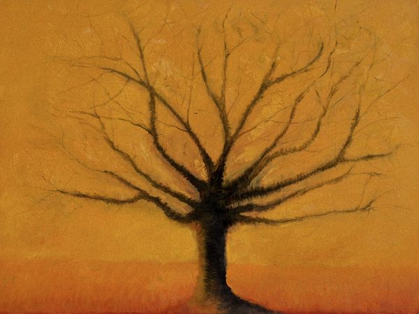 27 . 18x24 oil