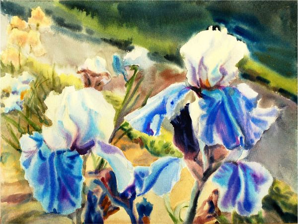  Irises in the Bois de Boulogne 1