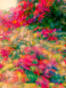 bumblebee meadow