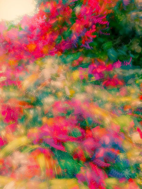 bumblebee meadow