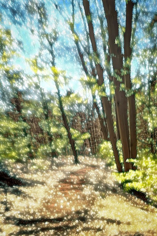 Forest in spring
