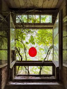 Window with red ballon