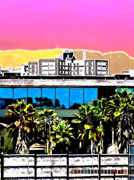 L.A. View, Near and Far