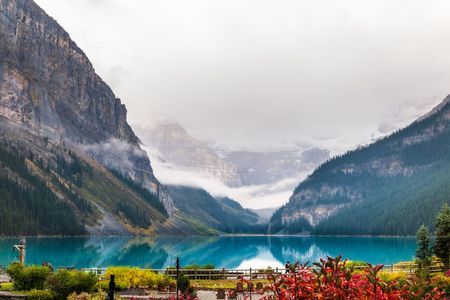 Misty Tranquility