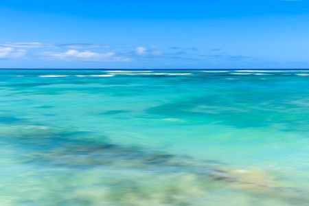 Reef Vibrance