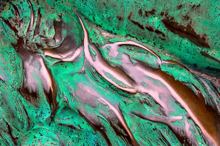 Lion Patina 2