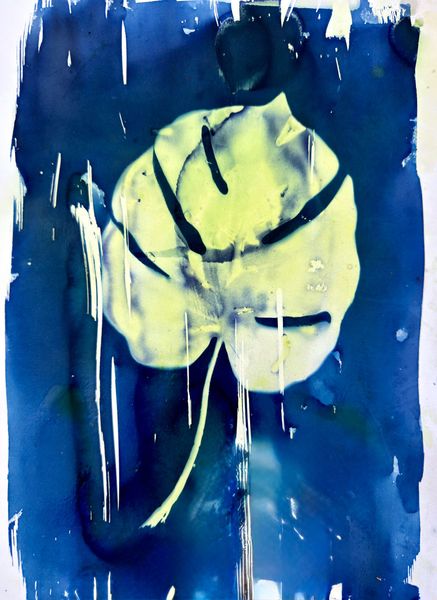 The Last Leaf- Cyanotype