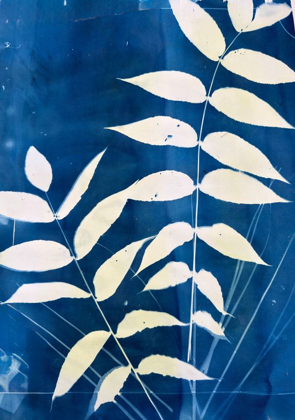 Rhythm of Leaves- Cyanotype
