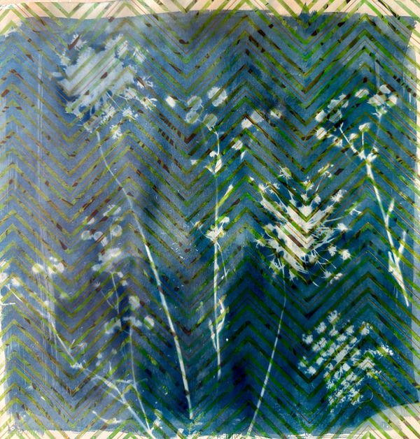 Between Pattern and Light- Cyanotype