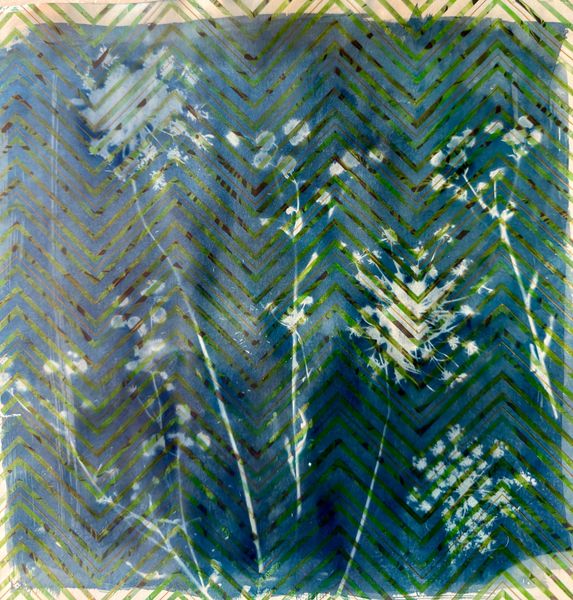 Between Pattern and Light- Cyanotype