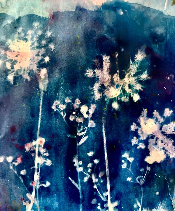 Moonlit Garden-Cyanotype