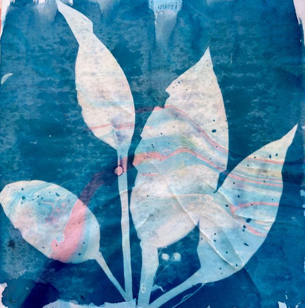 Quiet Impressions-Cyanotype