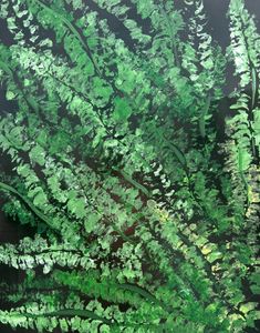 Under Fern Cover